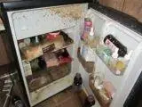       Filthy fridge - Tineye source                         